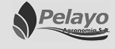 Pelayo S.A.